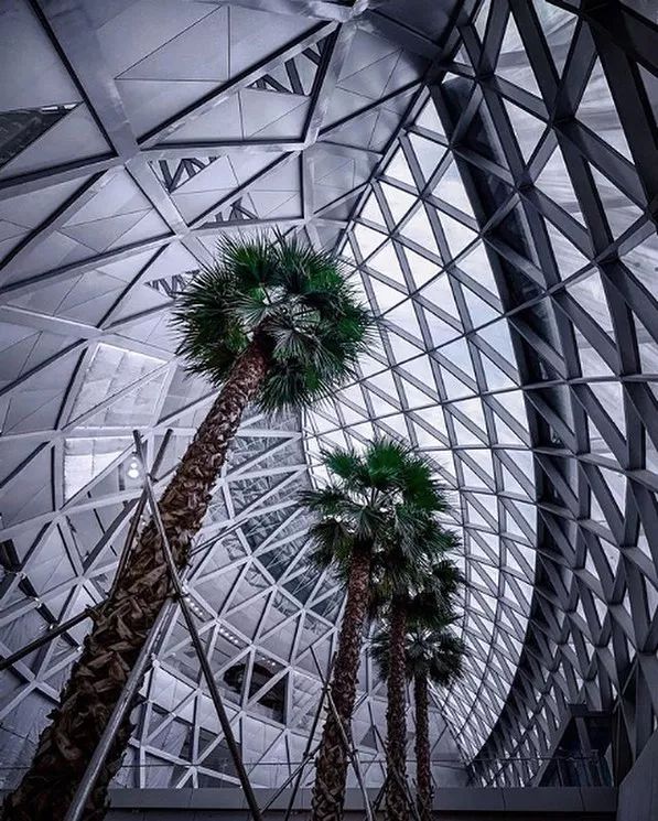 太科幻了！耗资85亿，把森林、瀑布搬进大机场！_38