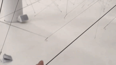 分享